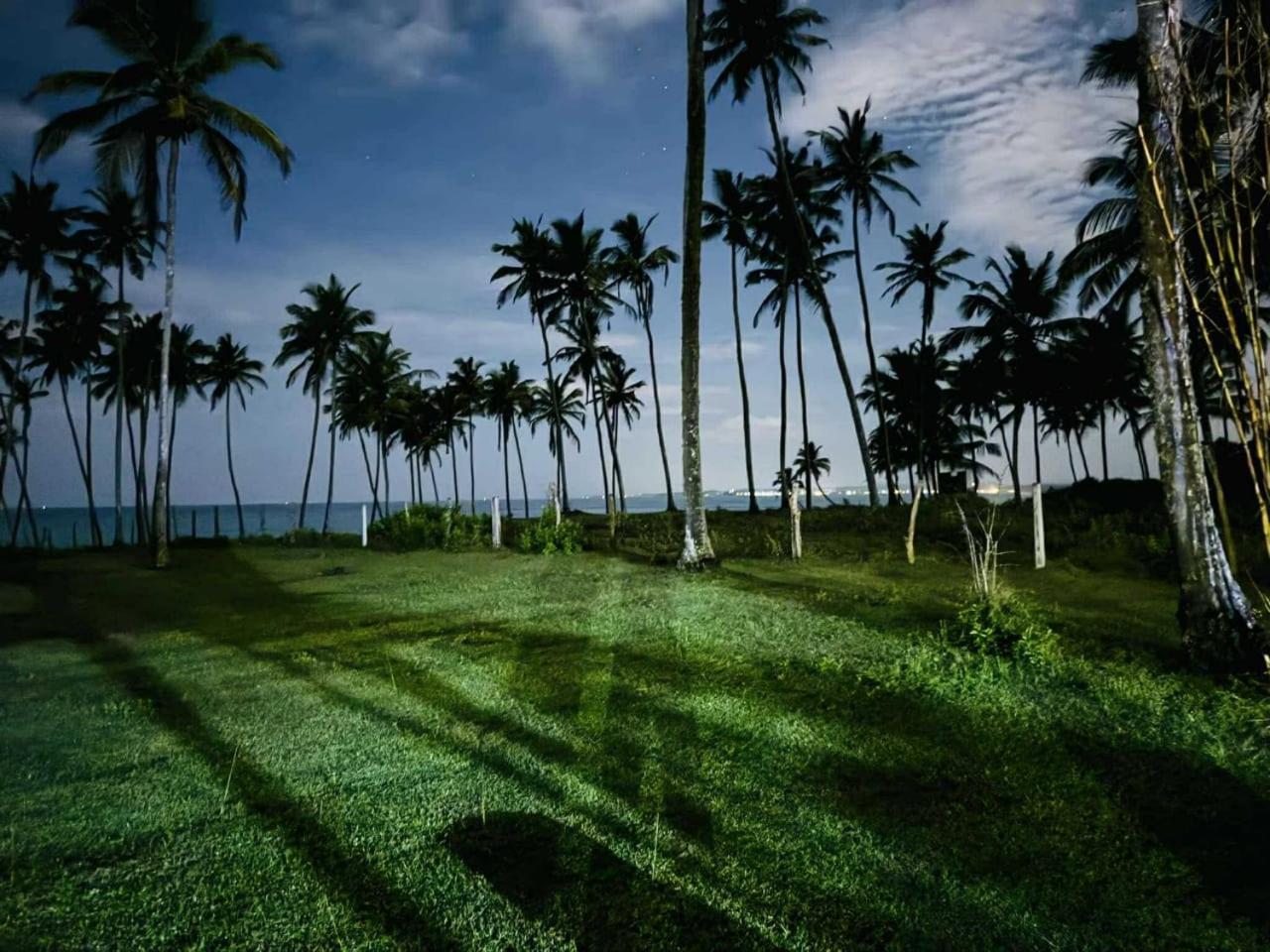 Coconut Tree Hill Rekawa Bed & Breakfast Tangalle Eksteriør bilde