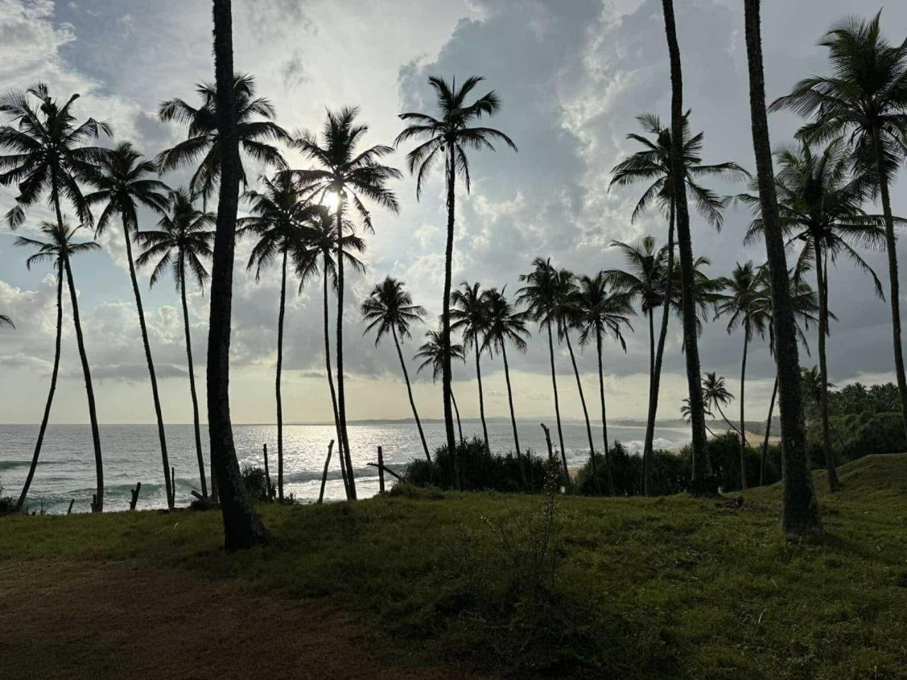 Coconut Tree Hill Rekawa Bed & Breakfast Tangalle Eksteriør bilde