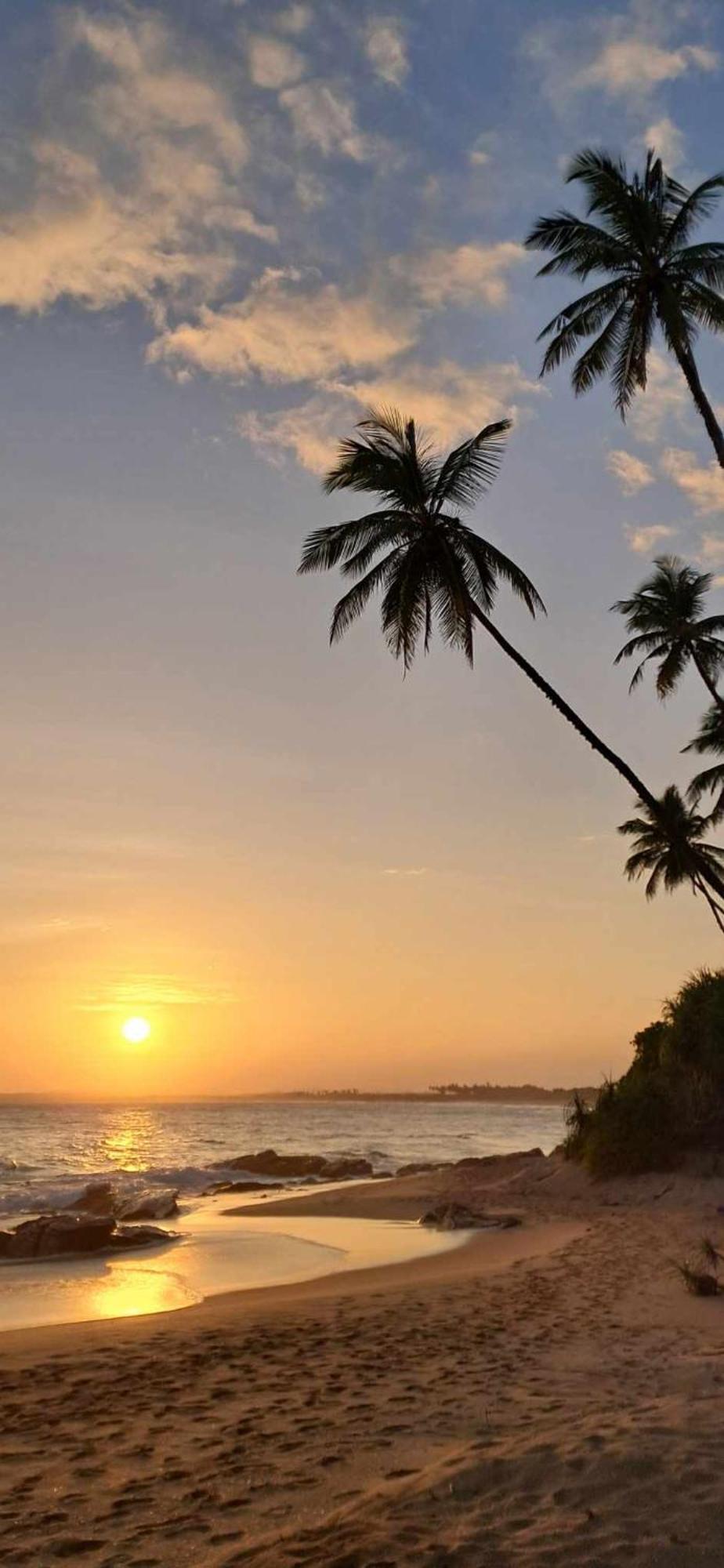 Coconut Tree Hill Rekawa Bed & Breakfast Tangalle Eksteriør bilde