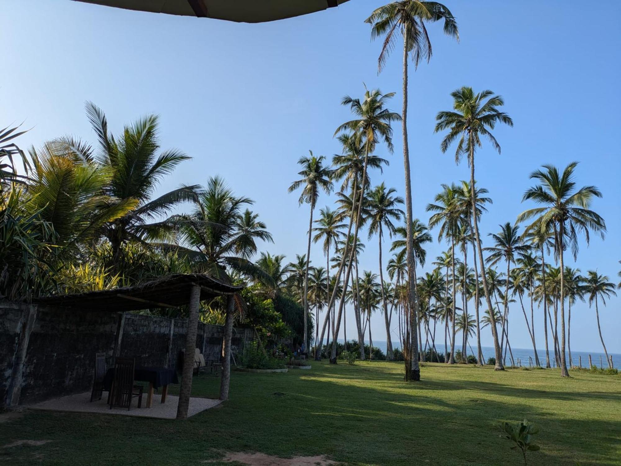 Coconut Tree Hill Rekawa Bed & Breakfast Tangalle Eksteriør bilde